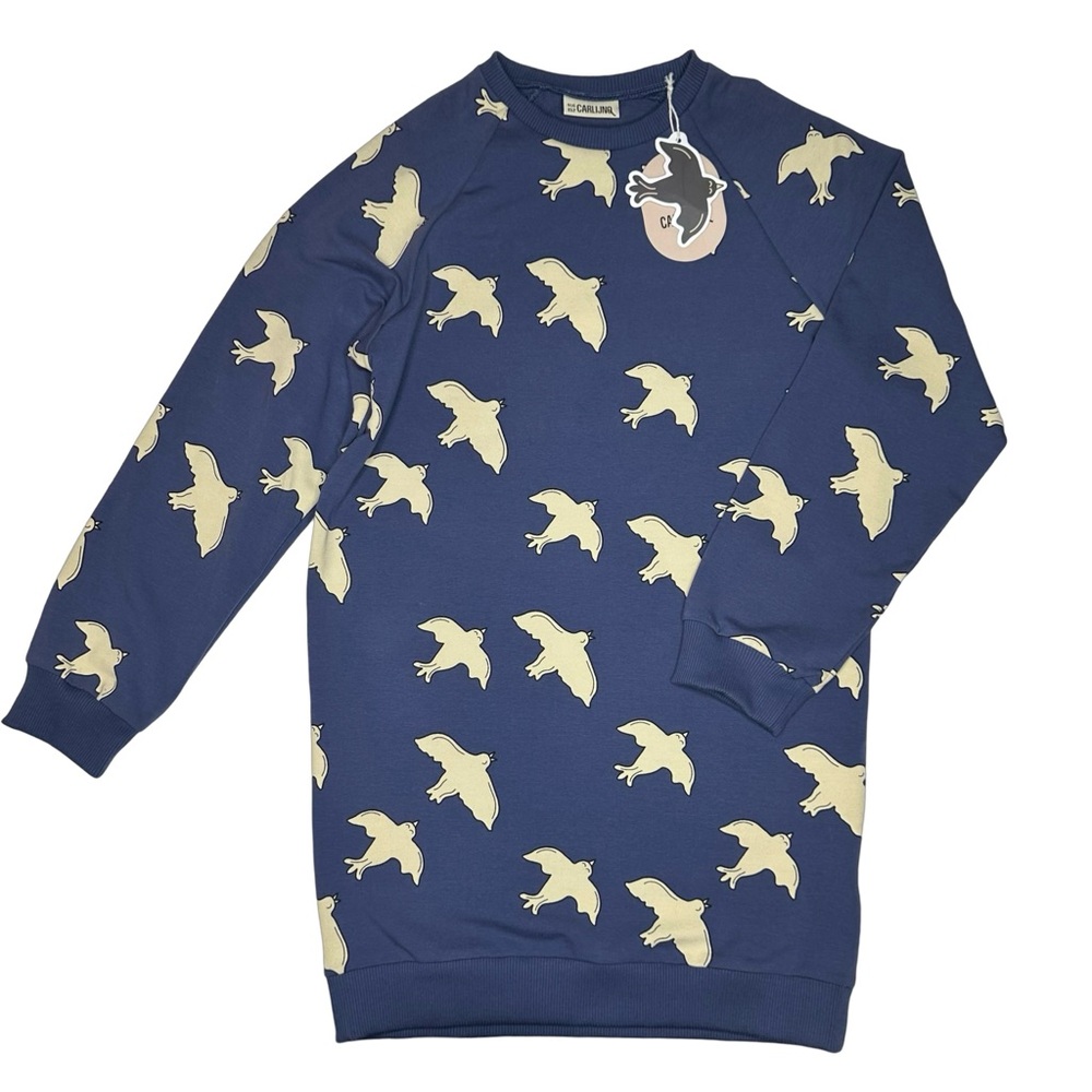 Carlijnq Free Like A‎ Bird Sweatshirt Dress